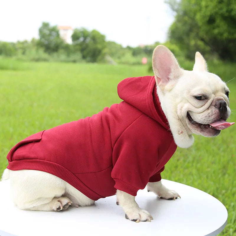 Moletom Quente de Inverno para Cachorro